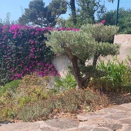 Villa Du Bau Rouge Carqueiranne Eksteriør billede