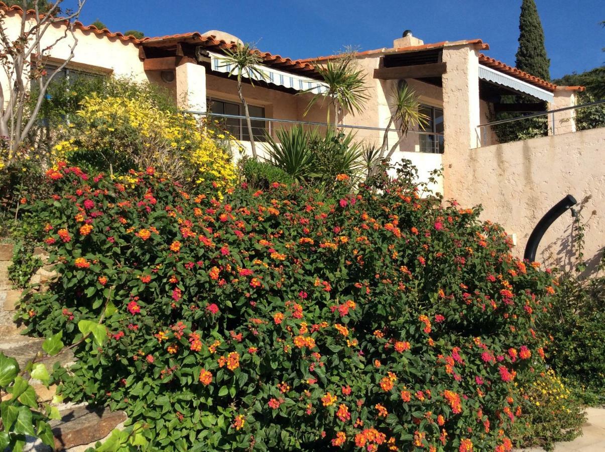 Villa Du Bau Rouge Carqueiranne Eksteriør billede